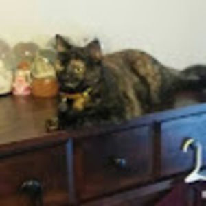 Meet your Posher, Katrina